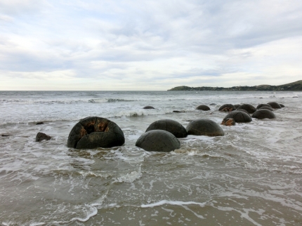 catlins (63)
